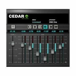 Outlet ✨ CEDAR Audio CEDAR Studio 9 DNS 🌟